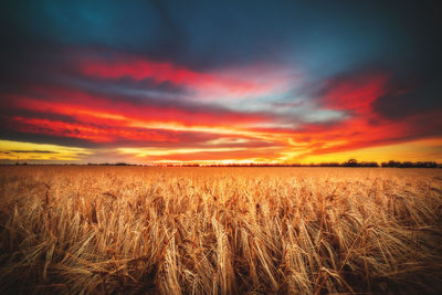 Scenic view of field against cloudy sky at sunset