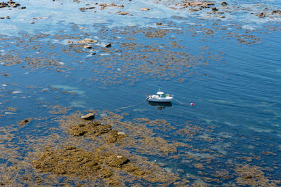 High angle view of boats in lake