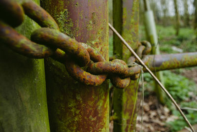 Close-up of rusty metal fence