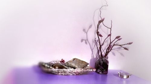 Close-up of purple flowers on table