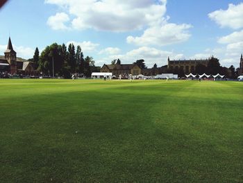 Trees on lawn with buildings in background