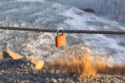 Close-up of padlocks on chain swing