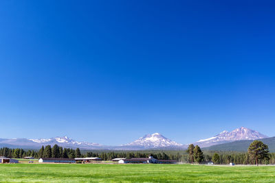 Scenic view of field against clear blue sky