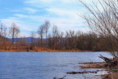 Bare trees by lake against sky