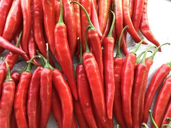 vegetable