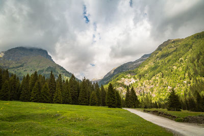 Natural landscape with green mountain peaks in summer