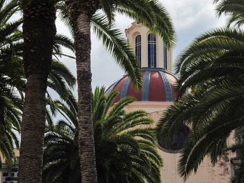 Low angle view of palm trees against sky