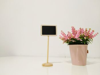 Close-up of pink flowers in vase