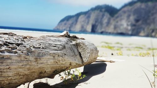 Rock formation on beach against sky