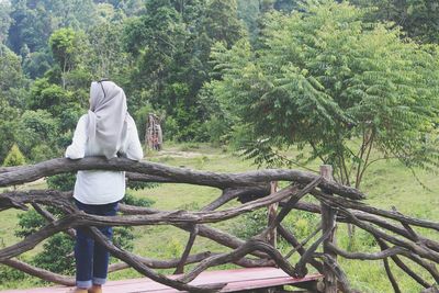 Rear view of woman in forest