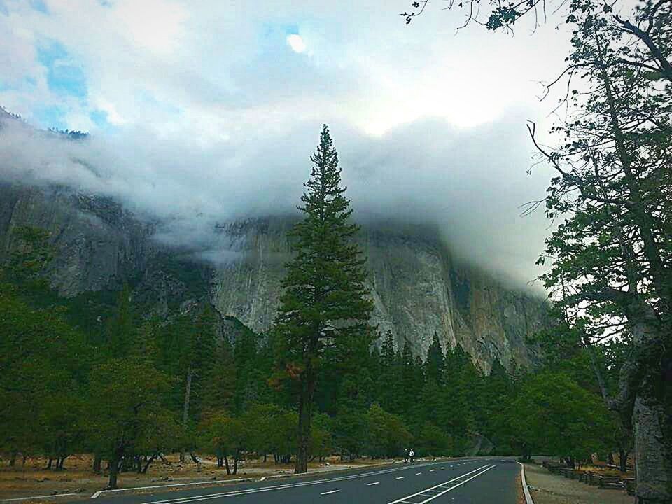 tree, sky, road, tranquil scene, beauty in nature, tranquility, scenics, weather, nature, the way forward, cloud - sky, transportation, landscape, mountain, cloudy, diminishing perspective, growth, fog, non-urban scene, idyllic