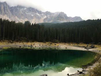 Reflection of trees in calm lake