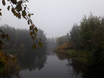 Scenic view of lake by trees against sky