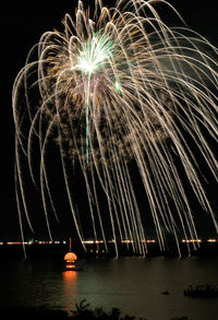 Low angle view of firework display at night