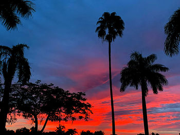 Low angle view of silhouette palm trees against romantic sky