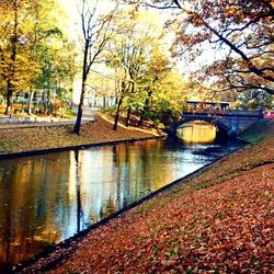 Bridge over river during autumn