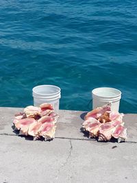 Bahamas shell vendors