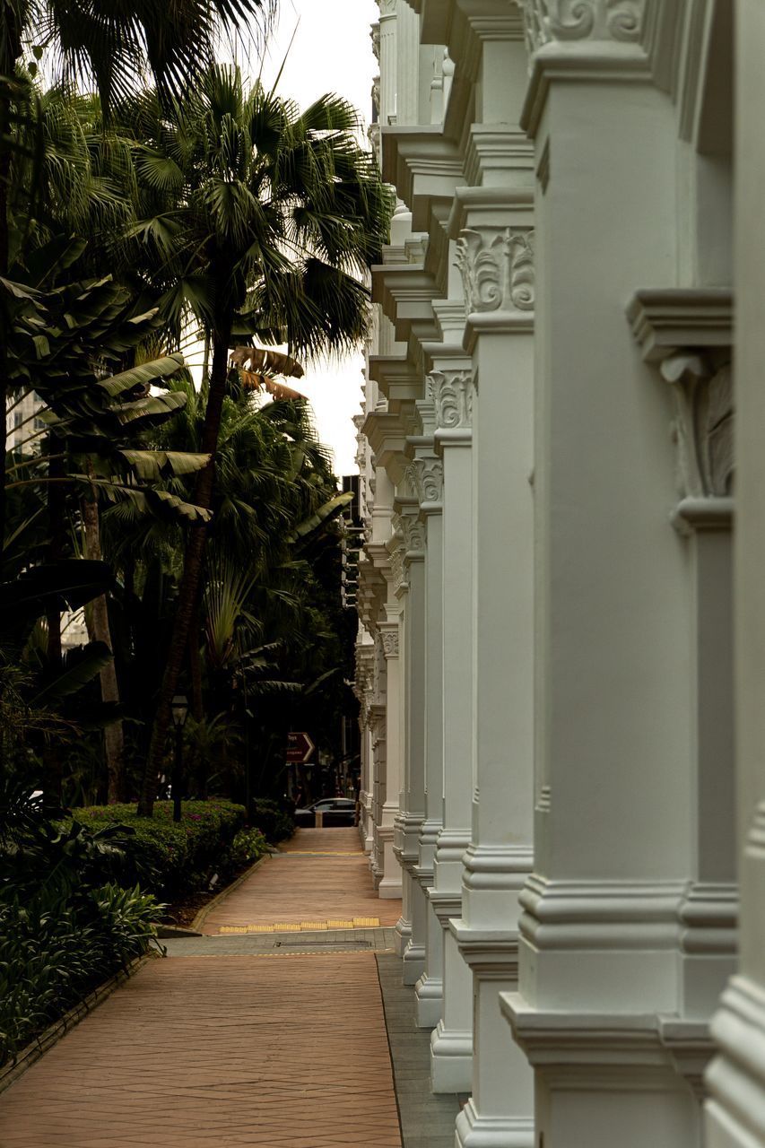 NARROW ALLEY AMIDST TREES AND BUILDING