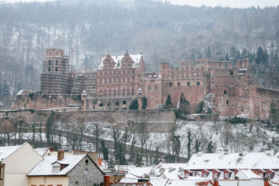 Houses in a city