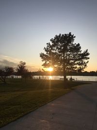 Silhouette trees by road against sky during sunset