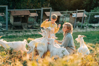 Happy cheerful mom and son feed and care for goats on the farm.