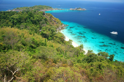 High angle view of bay and trees