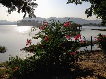 Scenic view of lake by trees against sky