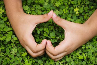 Cropped hands making heart shape over plants