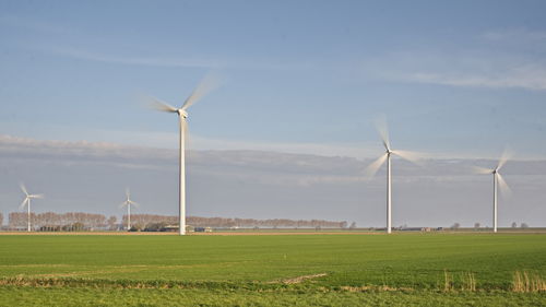renewable energy