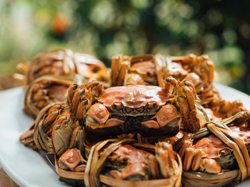 Close-up of food in a plate