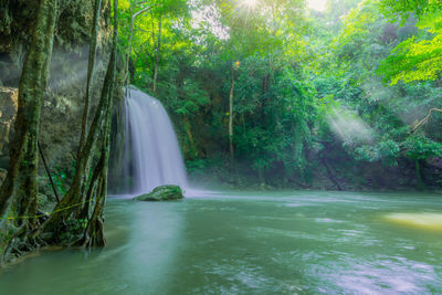 Scenic view of waterfall in forest