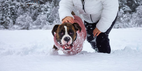 Man with dog in snow