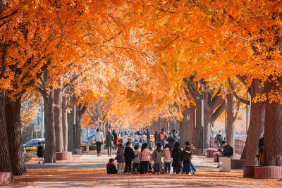 People in park during autumn