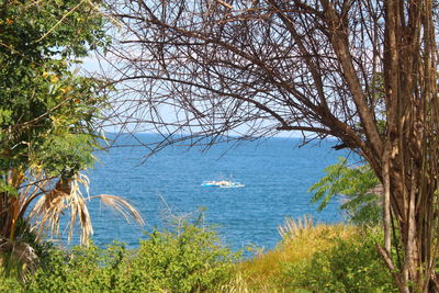 Scenic view of sea