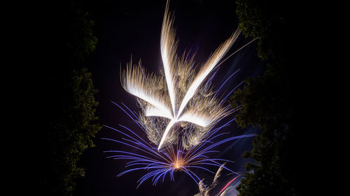 Low angle view of firework display at night