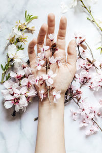 Cropped hand of woman with bouquet