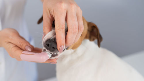 Midsection of man holding dog