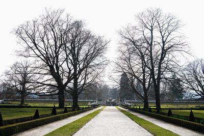 Road amidst bare trees in park against sky