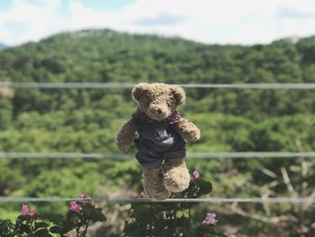 Stuffed toy on field by trees against sky