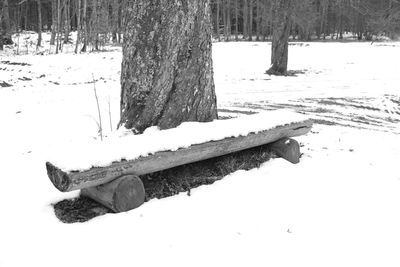 Snow covered land by trees on field