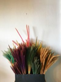 Close-up of flowering plants on table against wall