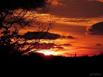 Silhouette trees against sky during sunset