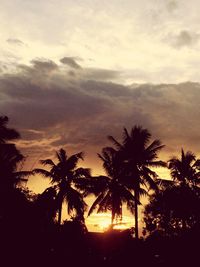 Low angle view of silhouette palm trees against sky
