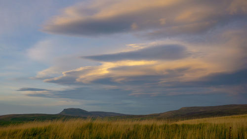 Scenic view of field against sky during sunset