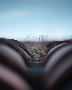 Surface level of land against clear sky