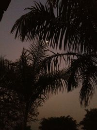 Low angle view of silhouette palm trees against sky at sunset