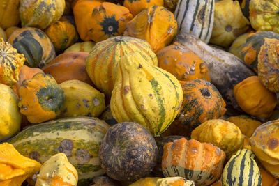 Full frame shot of pumpkins in market