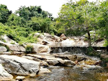 Scenic view of waterfall against trees