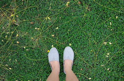 Low section of woman standing on field