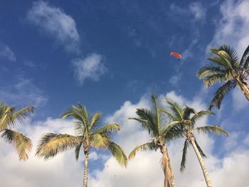 Low angle view of palm trees against cloudy sky